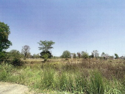 รูปที่ดินว่างเปล่า ช่องสามหมอ แก้งคร้อ ชัยภูมิ