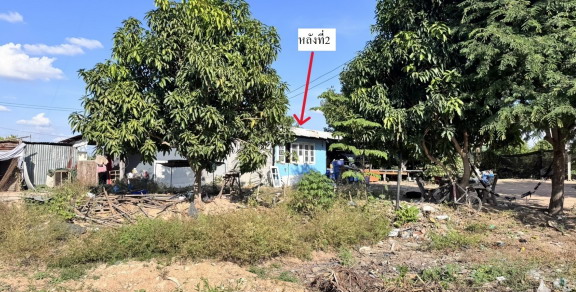 รูปที่ดินพร้อมสิ่งปลูกสร้าง เชียงยืน เชียงยืน มหาสารคาม