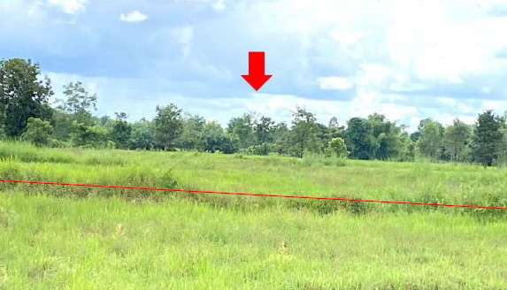 รูปที่ดินว่างเปล่า (นาขมิ้น) โพนบก ท่าอุเทน นครพนม