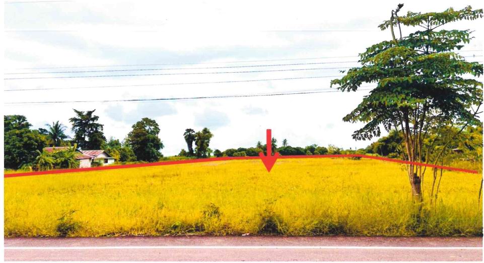 รูปที่ดินว่างเปล่า ศรีนคร ศรีนคร สุโขทัย