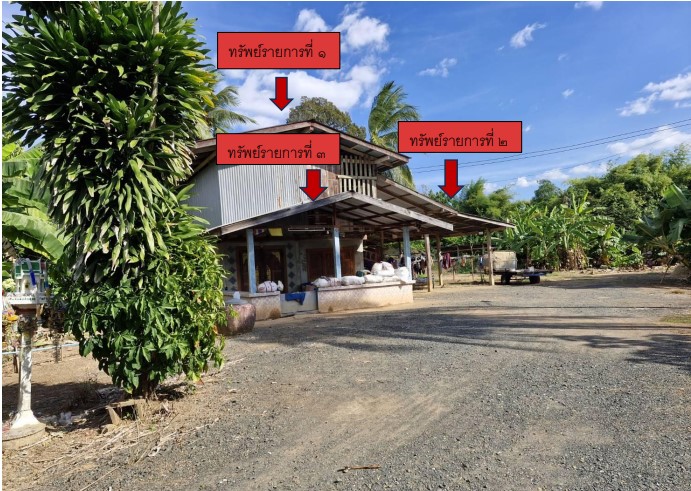 รูปที่ดินพร้อมสิ่งปลูกสร้าง บ้านโคก เมืองเพชรบูรณ์ เพชรบูรณ์