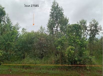 รูปที่ดินว่างเปล่า เชิงชุม พรรณานิคม สกลนคร