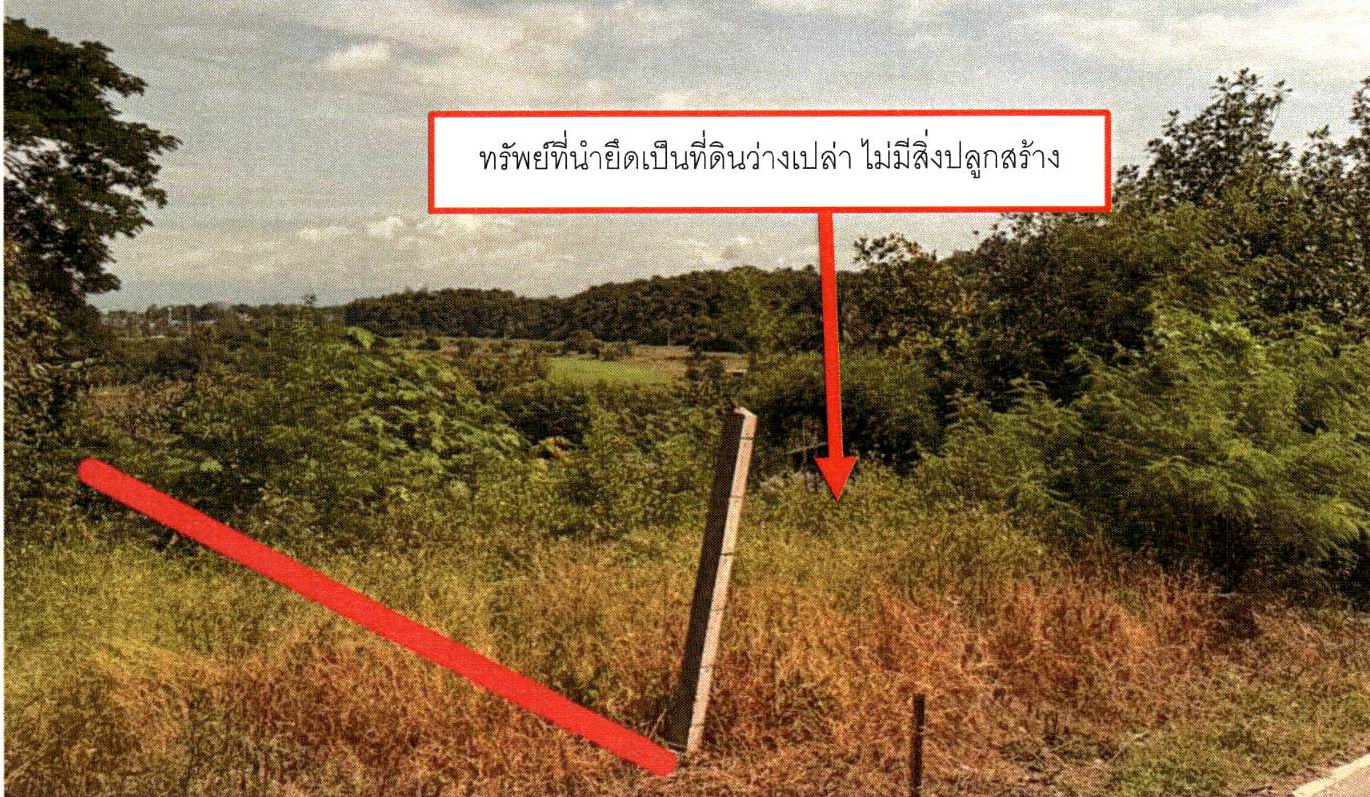 รูปที่ดินว่างเปล่า บ้านโฮ่ง บ้านโฮ่ง ลำพูน