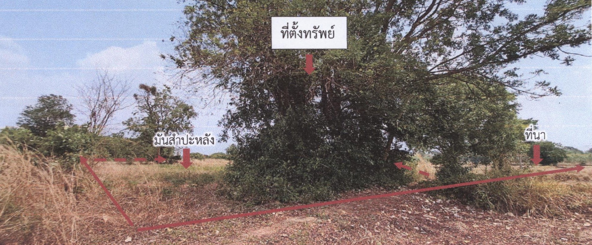 รูปที่ดินว่างเปล่า บะ ท่าตูม สุรินทร์