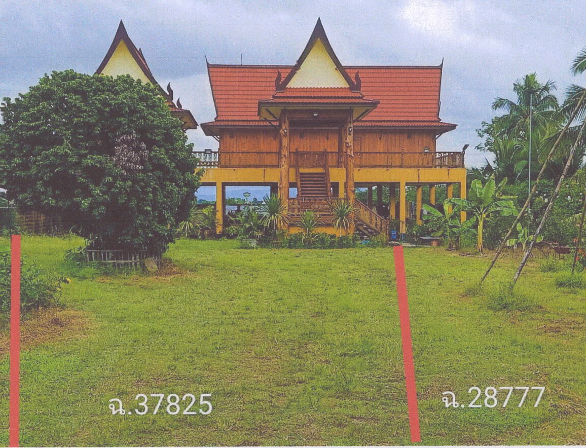 รูปที่ดินพร้อมสิ่งปลูกสร้าง โป่งงาม แม่สาย เชียงราย