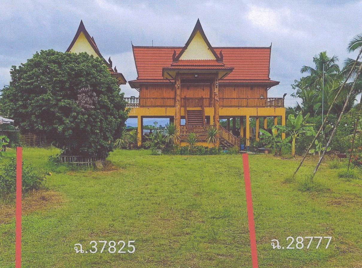 รูปที่ดินพร้อมสิ่งปลูกสร้าง โป่งงาม แม่สาย เชียงราย