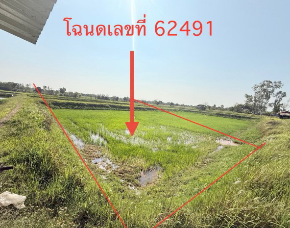 รูปที่ดินว่างเปล่า ลำคลอง เมืองกาฬสินธุ์ กาฬสินธุ์