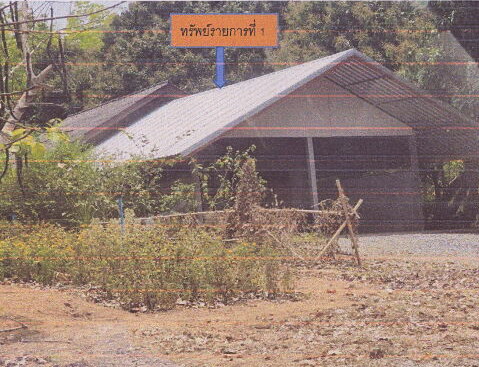 รูปที่ดินพร้อมสิ่งปลูกสร้าง ดอนตาล ดอนตาล มุกดาหาร