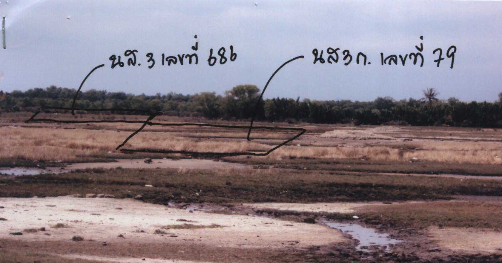 รูปที่ดินว่างเปล่า ตำมะลัง เมืองสตูล สตูล