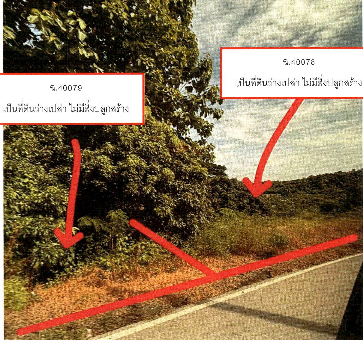 รูปที่ดินว่างเปล่า บ้านโฮ่ง บ้านโฮ่ง ลำพูน