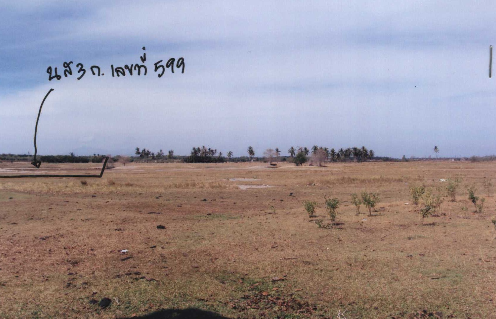 รูปที่ดินว่างเปล่า ตำมะลัง เมืองสตูล สตูล