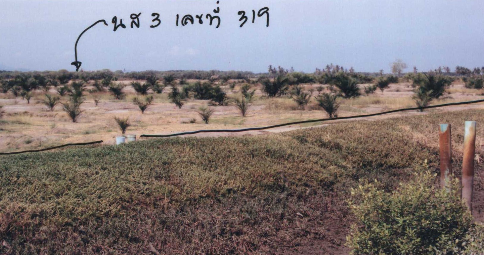 รูปที่ดินว่างเปล่า ตำมะลัง เมืองสตูล สตูล