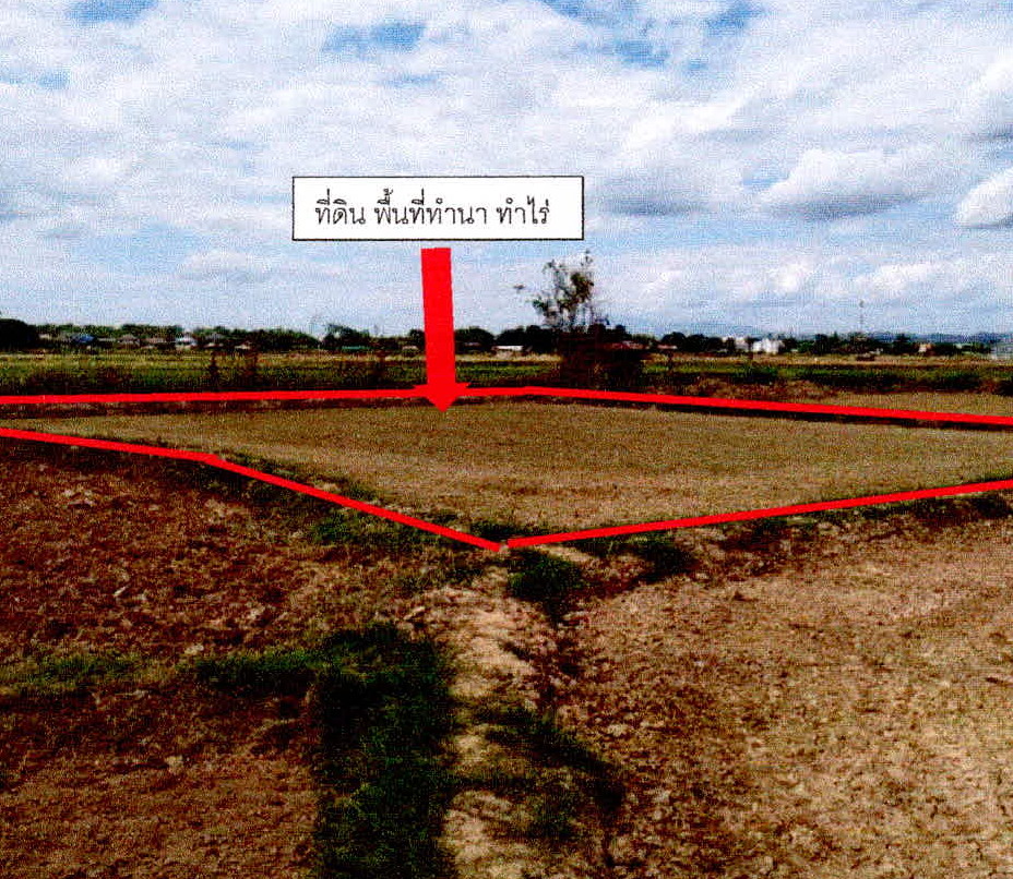 รูปที่ดินว่างเปล่า ม่วงตึ๊ด เมืองน่าน น่าน