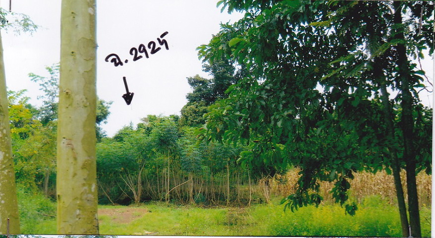 รูปที่ดินว่างเปล่า โคกไทย ศรีมโหสถ ปราจีนบุรี