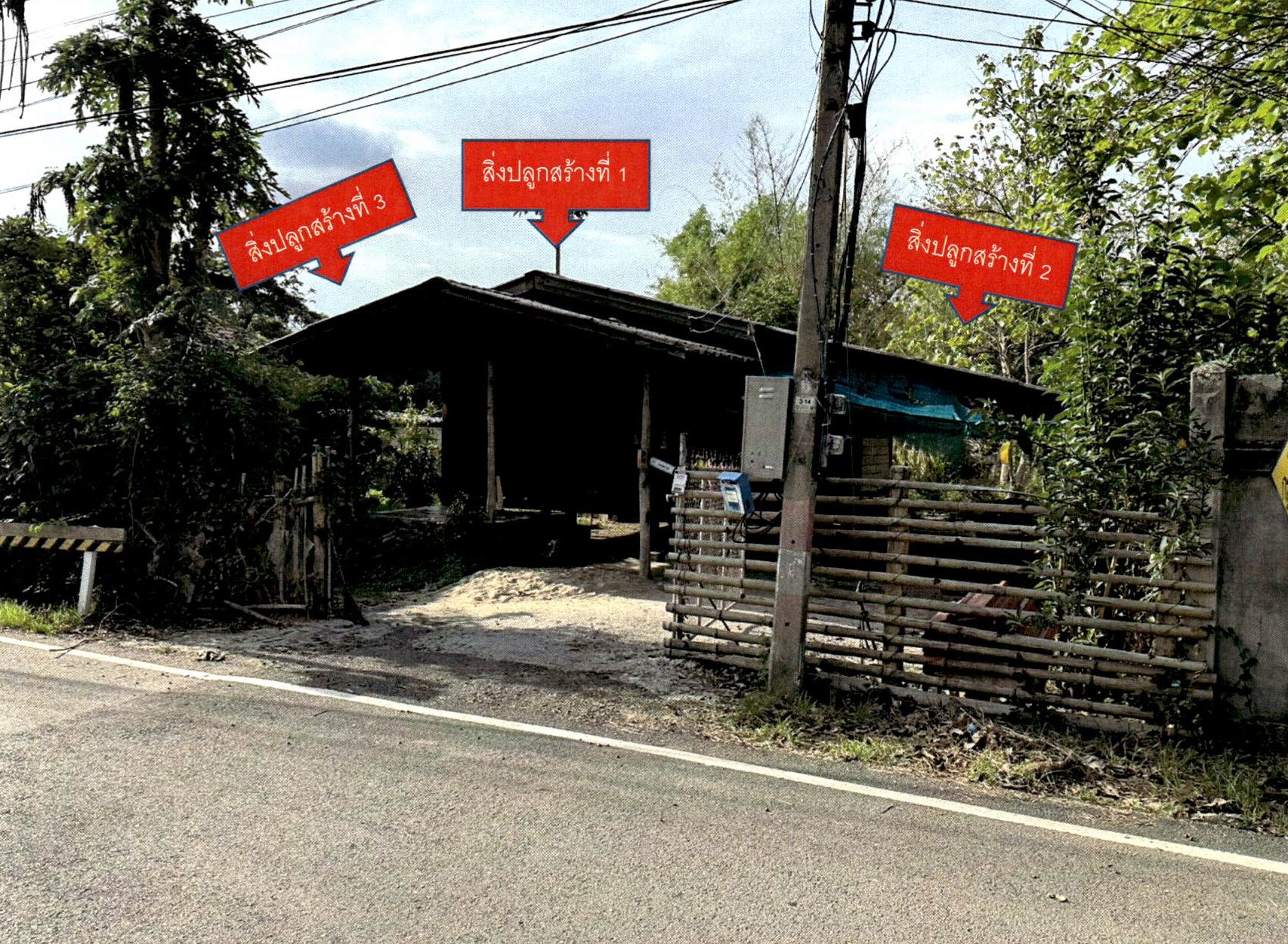 รูปที่ดินพร้อมสิ่งปลูกสร้าง ป่าสัก เมืองลำพูน ลำพูน