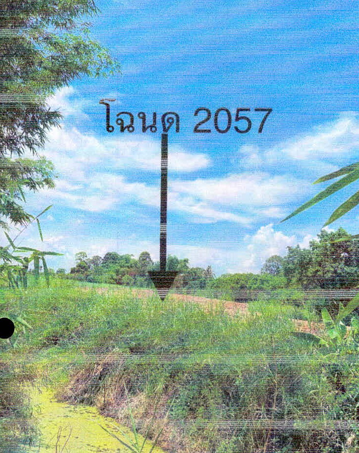 รูปที่ดินว่างเปล่า บ้านชวน บำเหน็จณรงค์ ชัยภูมิ