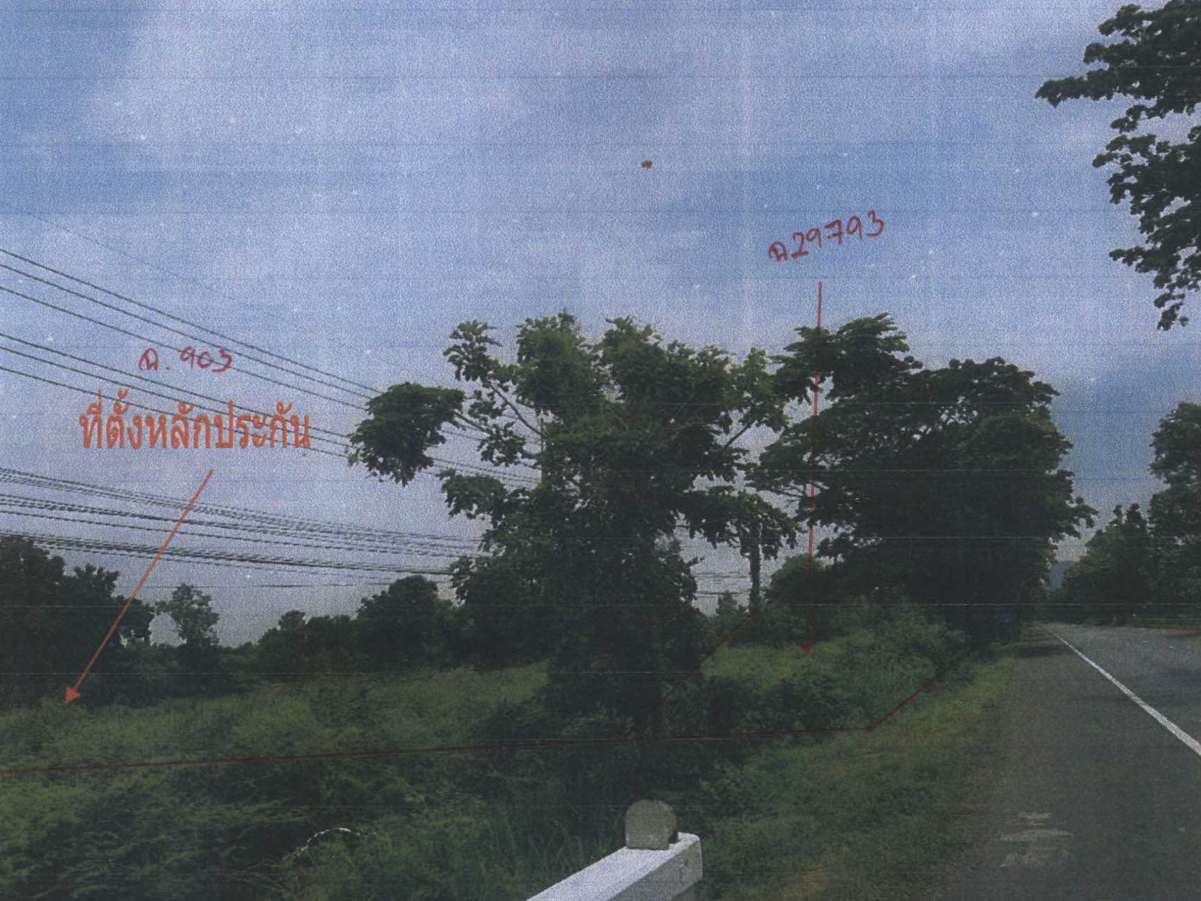 รูปที่ดินว่างเปล่า บ้านไร่ ลาดยาว นครสวรรค์