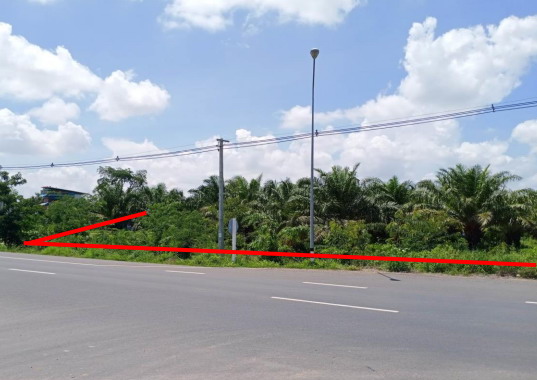 รูปที่ดินว่างเปล่า ทุ่งเทิง เดชอุดม อุบลราชธานี