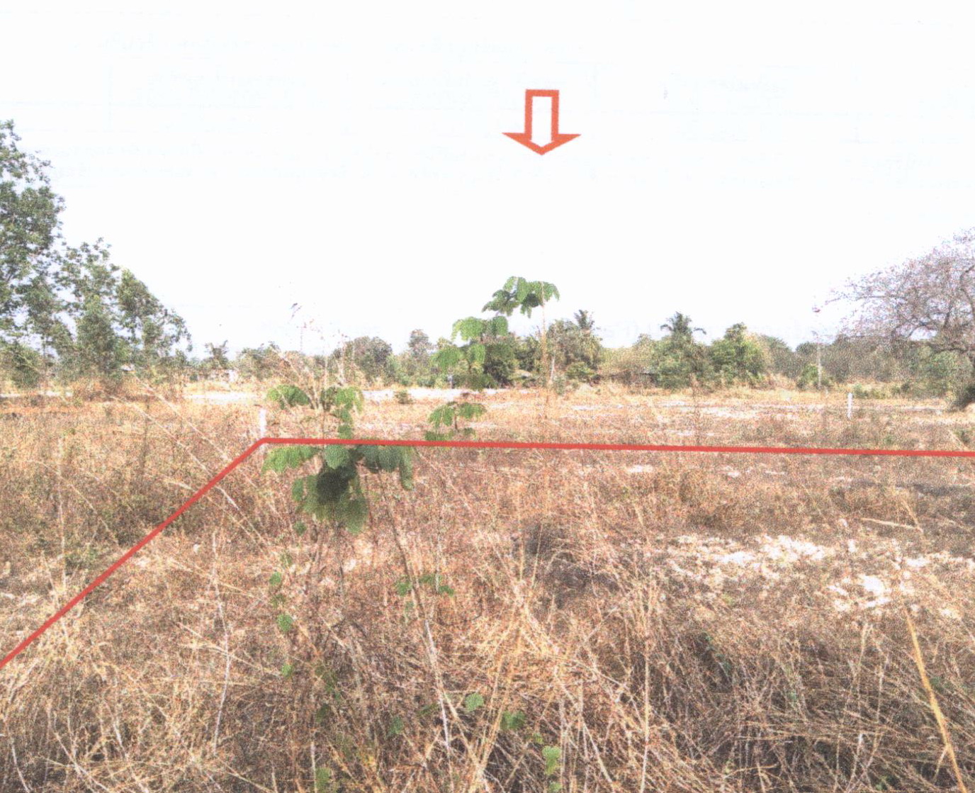 รูปที่ดินว่างเปล่า ผักตบ หนองหาน อุดรธานี