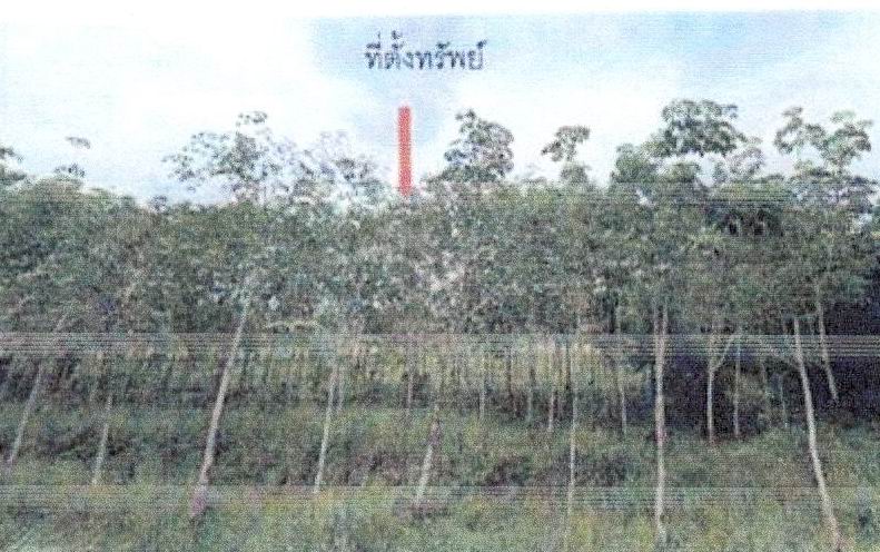รูปที่ดินว่างเปล่า บาโร๊ะ ยะหา ยะลา