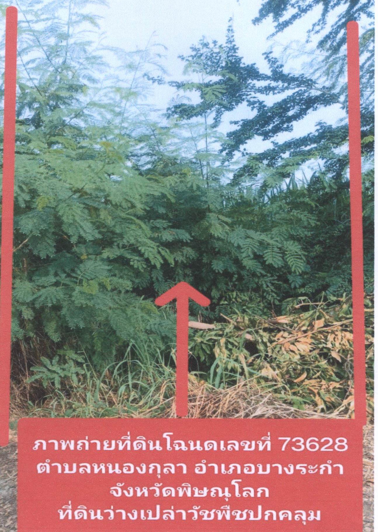รูปที่ดินว่างเปล่า หนองกุลา บางระกำ พิษณุโลก