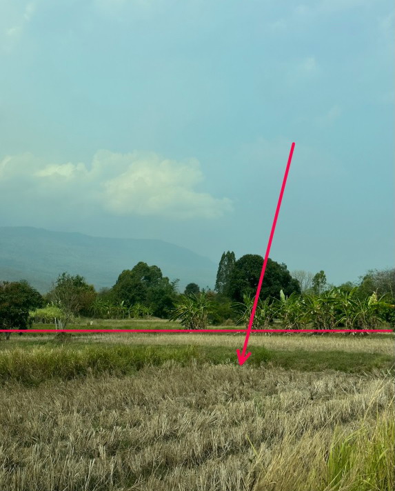 รูปที่ดินว่างเปล่า บ้านบัว เกษตรสมบูรณ์ ชัยภูมิ