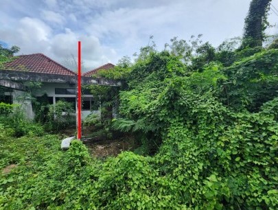 รูปที่ดินพร้อมสิ่งปลูกสร้าง พรานกระต่าย พรานกระต่าย กำแพงเพชร