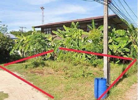 รูปที่ดินว่างเปล่า ลาดยาว ลาดยาว นครสวรรค์
