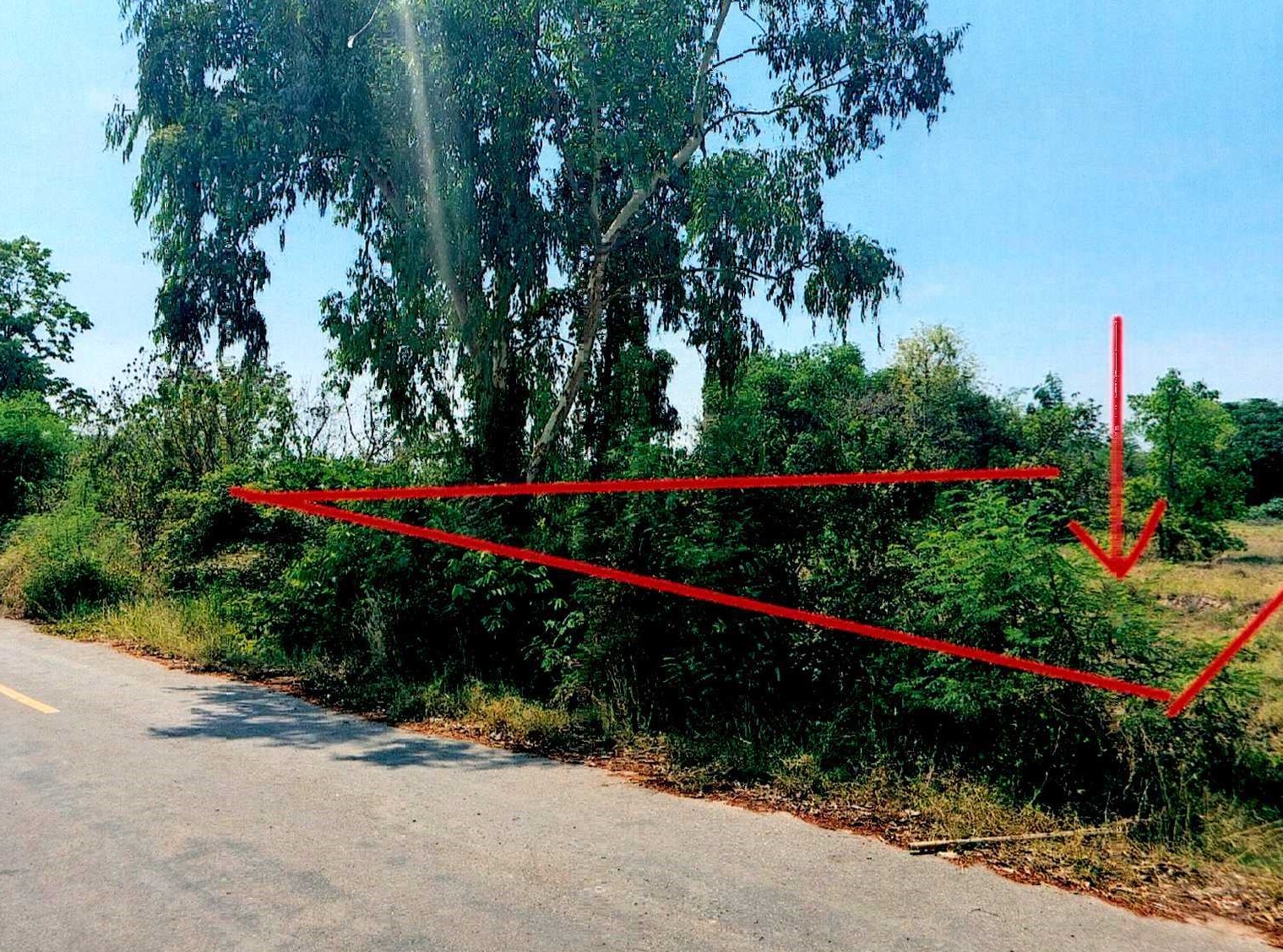 รูปที่ดินว่างเปล่า พานพร้าว ศรีเชียงใหม่ หนองคาย