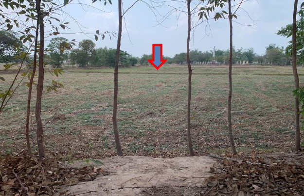 รูปที่ดินว่างเปล่า เมืองบัว ชุมพลบุรี สุรินทร์