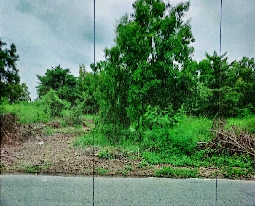 รูปที่ดินว่างเปล่า บึงกาสาม หนองเสือ ปทุมธานี