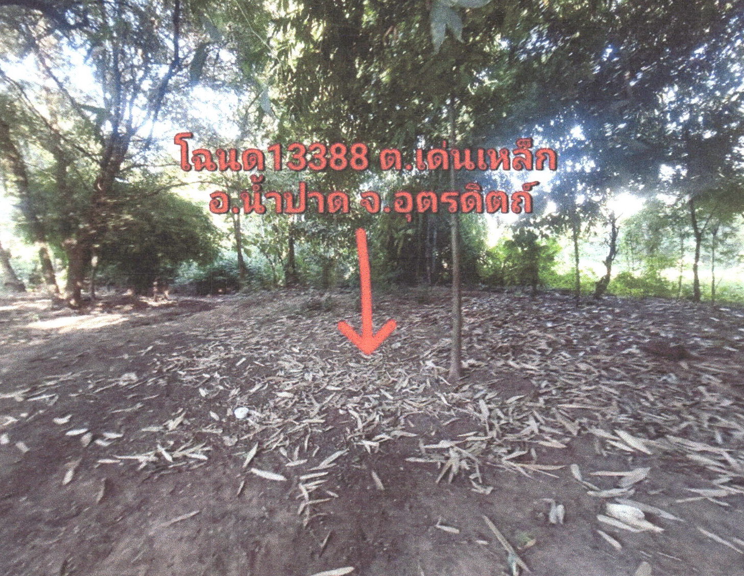 รูปที่ดินว่างเปล่า เด่นเหล็ก น้ำปาด อุตรดิตถ์