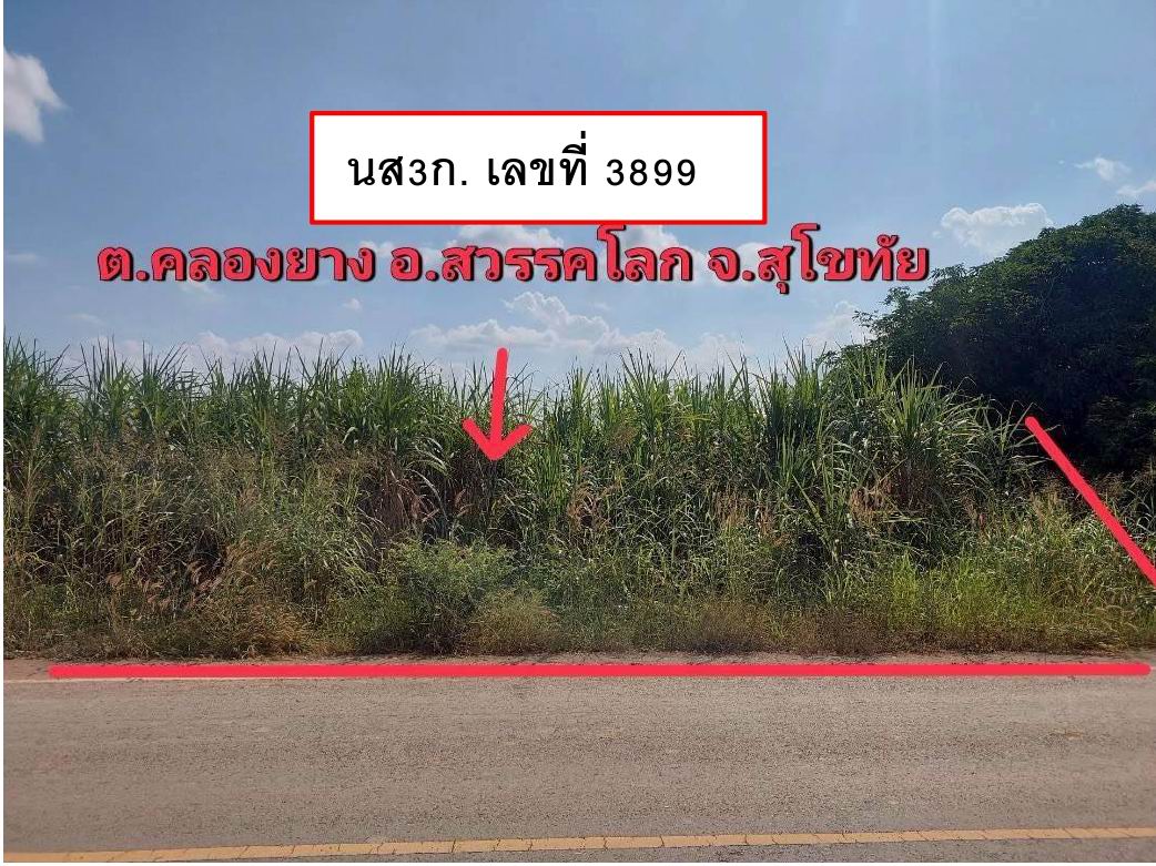 รูปที่ดินว่างเปล่า คลองยาง สวรรคโลก สุโขทัย