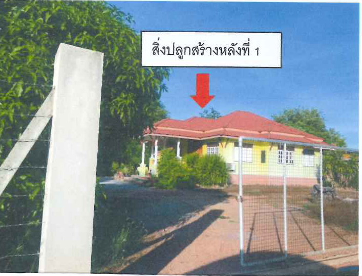 รูปที่ดินพร้อมสิ่งปลูกสร้าง ดงคอน สรรคบุรี ชัยนาท