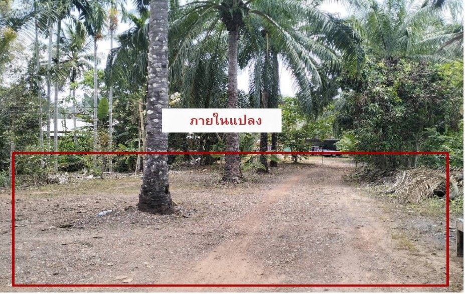 รูปที่ดินว่างเปล่า นาขา หลังสวน ชุมพร
