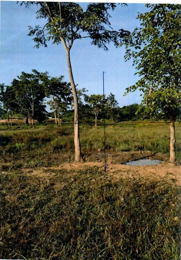 รูปที่ดินว่างเปล่า เมืองเก่า เมืองขอนแก่น ขอนแก่น