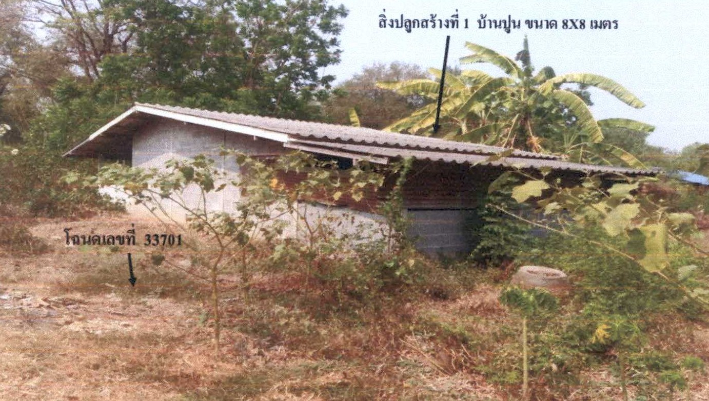 รูปที่ดินพร้อมสิ่งปลูกสร้าง ป่าสะแก เดิมบางนางบวช สุพรรณบุรี