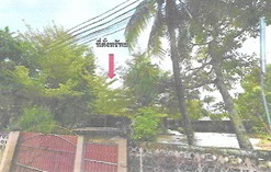รูปที่ดินพร้อมสิ่งปลูกสร้าง ลำภู เมืองนราธิวาส นราธิวาส