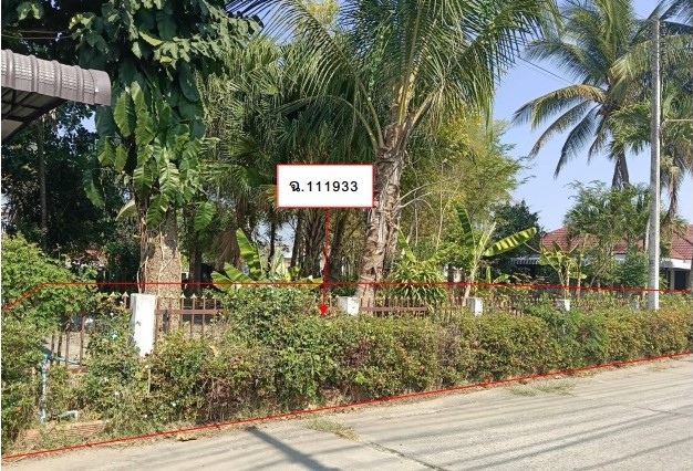 รูปที่ดินว่างเปล่า ป่าสัก เมืองลำพูน ลำพูน