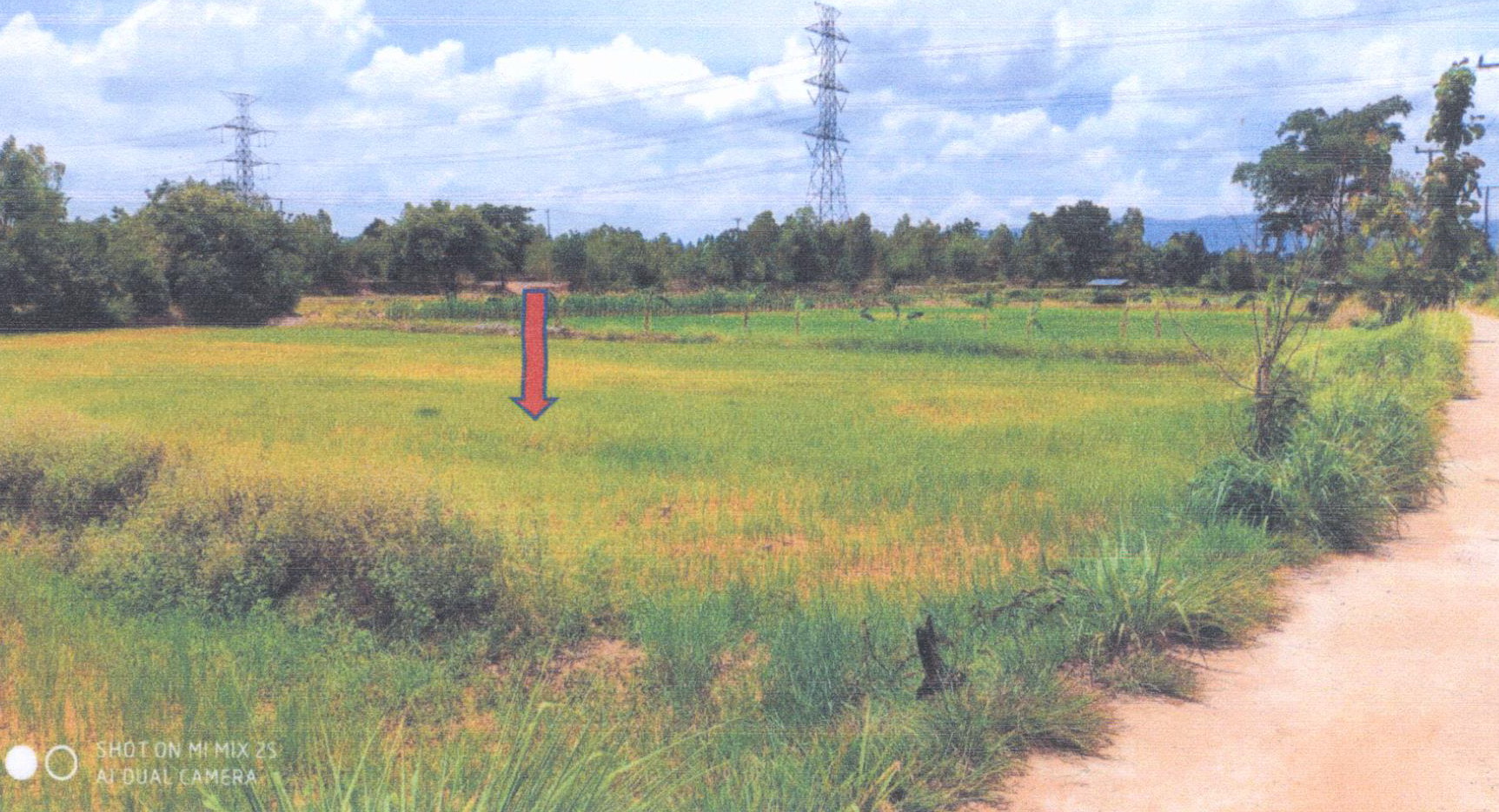 รูปที่ดินว่างเปล่า โพนทอง เมืองชัยภูมิ ชัยภูมิ
