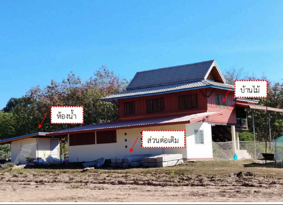 รูปที่ดินพร้อมสิ่งปลูกสร้าง ปทุมวาปี ส่องดาว สกลนคร