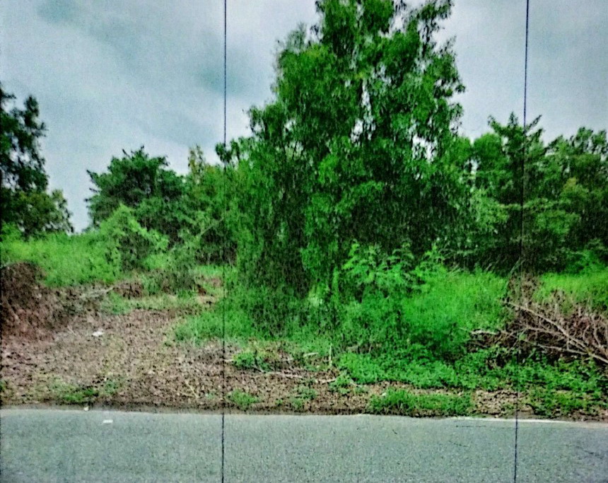 รูปที่ดินว่างเปล่า บึงกาสาม หนองเสือ ปทุมธานี