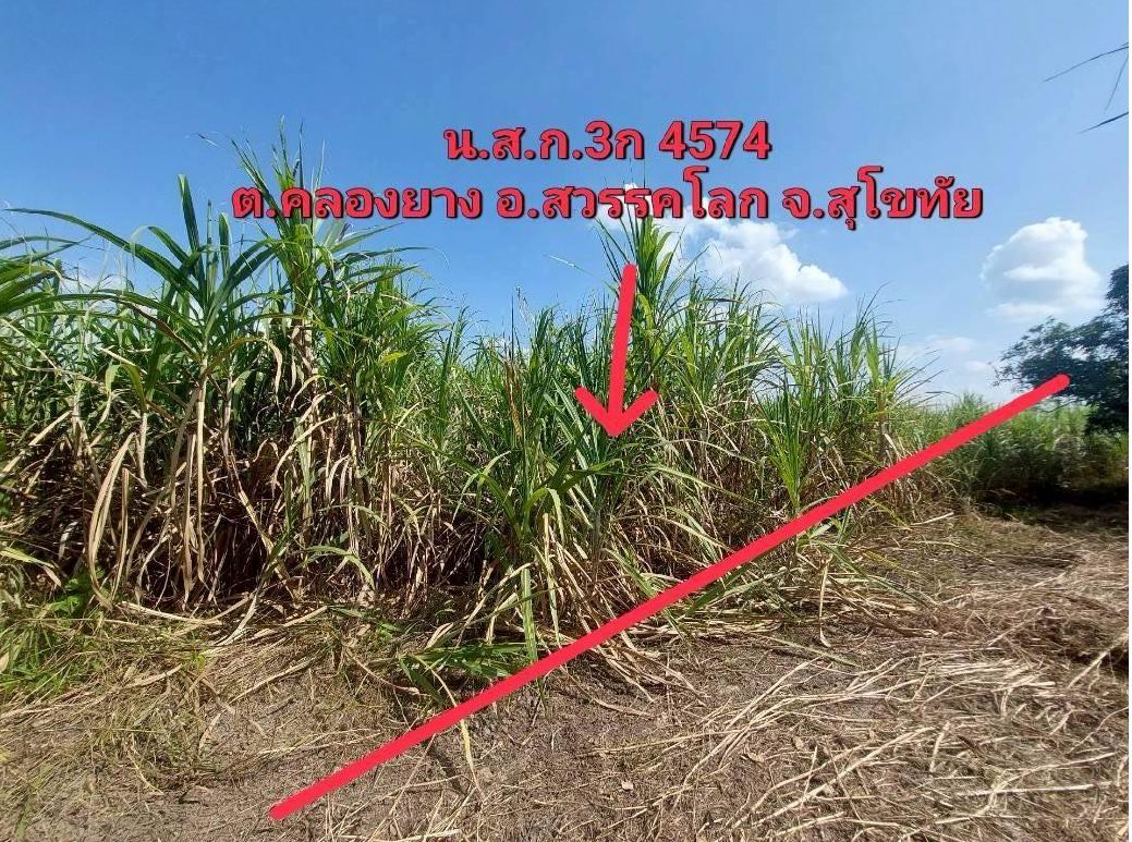 รูปที่ดินว่างเปล่า คลองยาง สวรรคโลก สุโขทัย