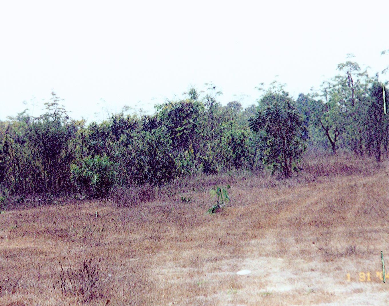 รูปที่ดินว่างเปล่า ชนบท ชนบท ขอนแก่น