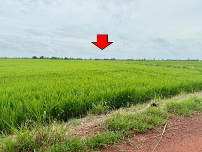 รูปที่ดินว่างเปล่า บางแตน บ้านสร้าง ปราจีนบุรี