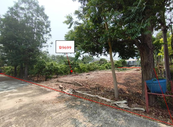 รูปที่ดินว่างเปล่า หนองบัว ศรีนคร สุโขทัย