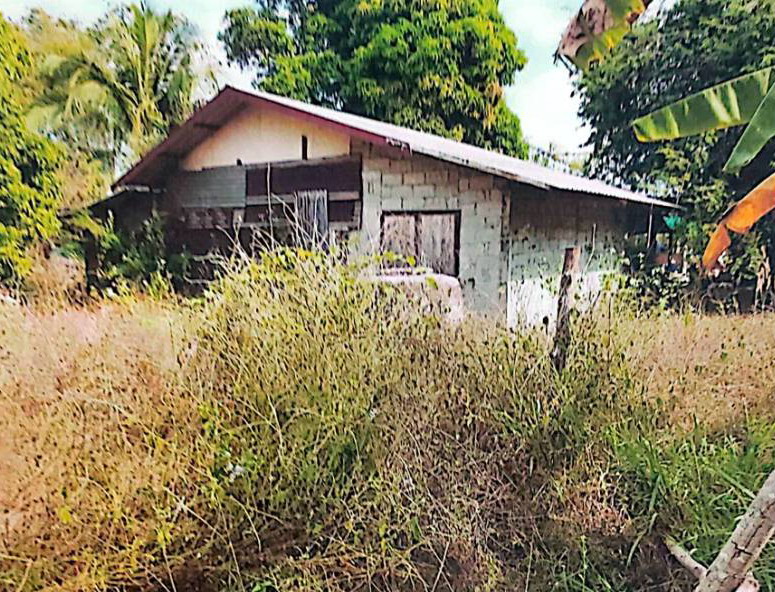 รูปที่ดินพร้อมสิ่งปลูกสร้าง บ้านผึ้ง เมืองนครพนม นครพนม