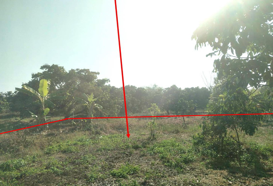 รูปที่ดินว่างเปล่า ท่าตุ้ม ป่าซาง ลำพูน