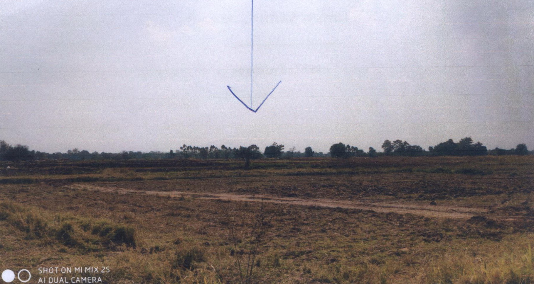 รูปที่ดินว่างเปล่า นาฝาย เมืองชัยภูมิ ชัยภูมิ