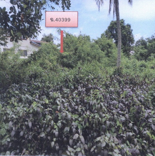 รูปที่ดินว่างเปล่า พังขว้าง เมืองสกลนคร สกลนคร